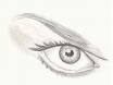 Drawing of a womans eye